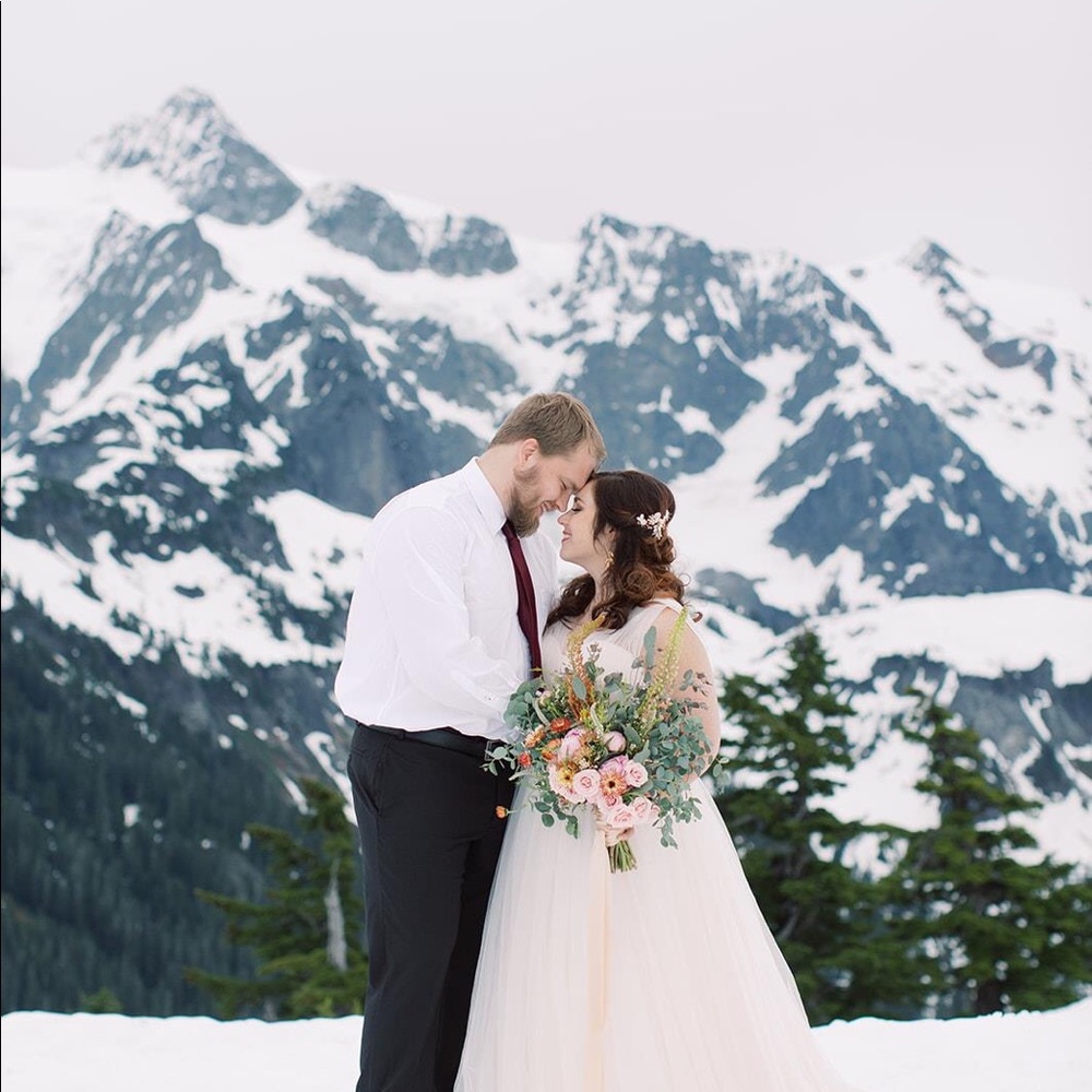 Size 12 Wedtoo blush tulle gown - Picture 4 of 4